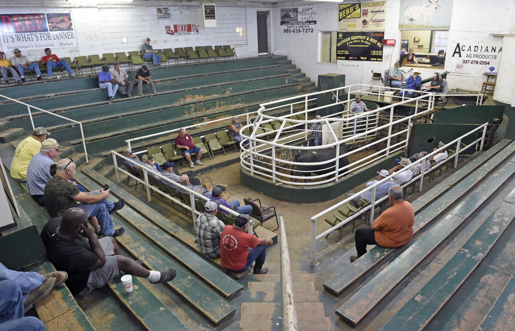 BR.wildstockyard0089.adv bf.jpg